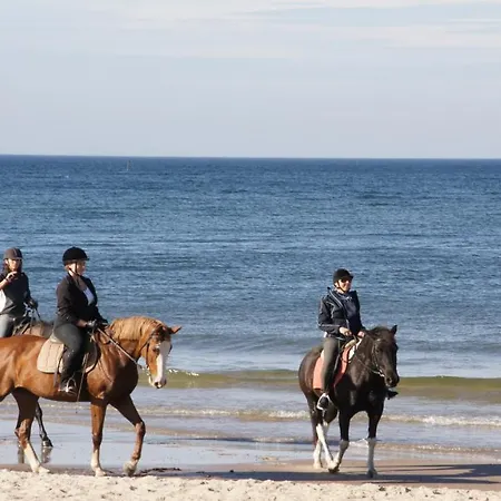 Mieszka 코워브제크
