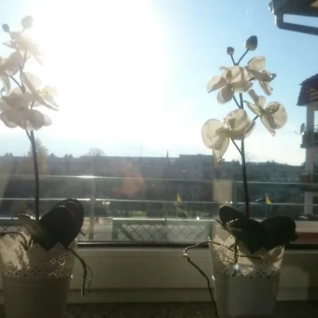 Апартаменты Mieszka *